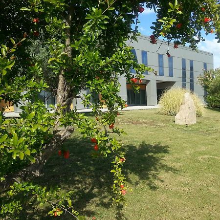 Geovillage Apartments Olbia Bagian luar foto
