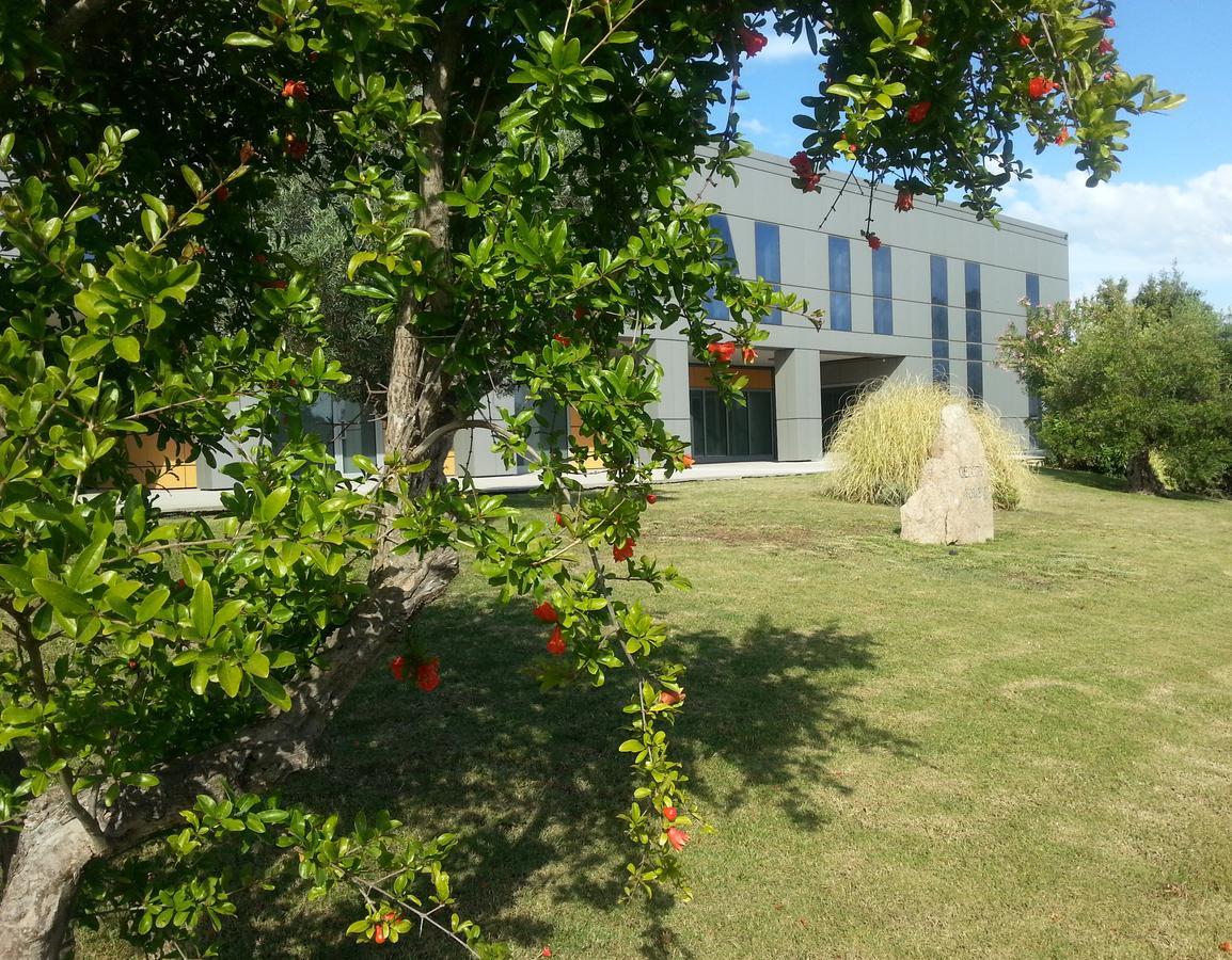 Geovillage Apartments Olbia Bagian luar foto